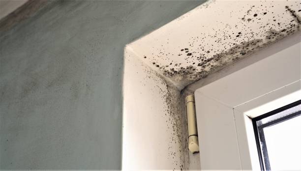 Best Indoor Air Quality Assessment  in Ontario, CA