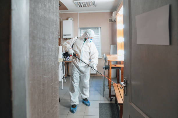 Best Mold Prevention Services  in Ontario, CA