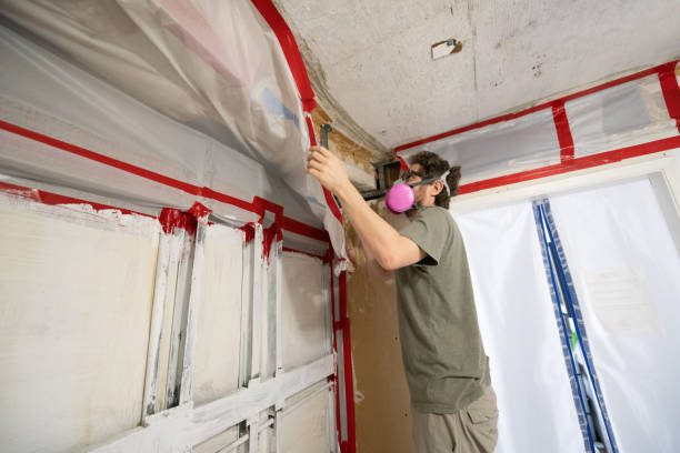 Best Mold-Related Health Consultation  in Ontario, CA