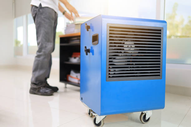 Best Black Mold Removal  in Ontario, CA